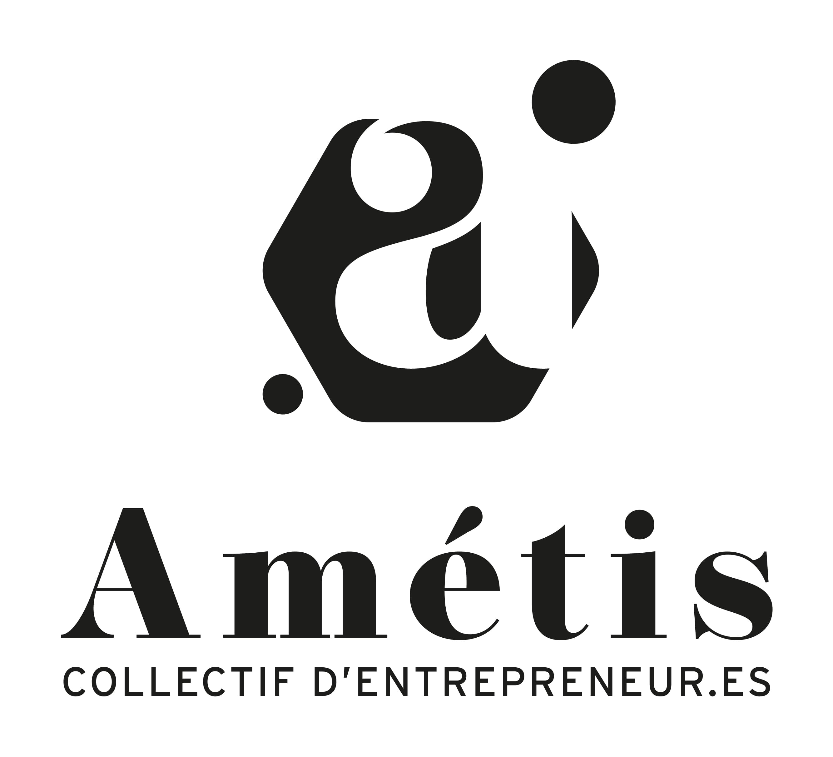 Logo Ametis